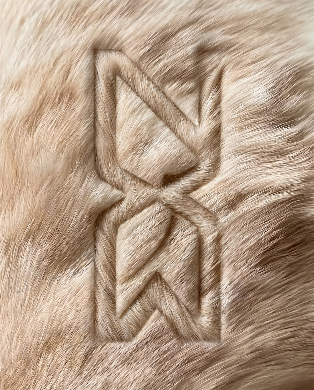 slider image slider_item_f3Cerp