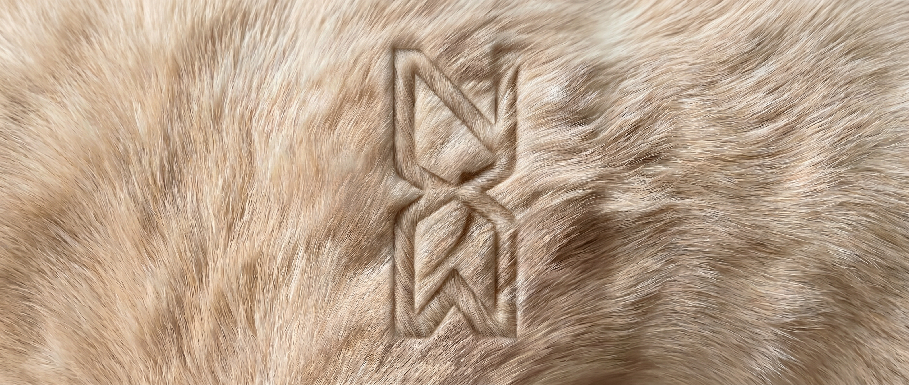 slider image slider_item_f3Cerp