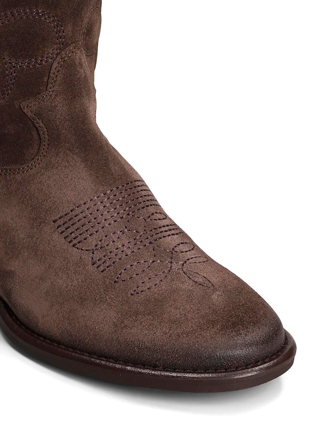 Guatemala Castagna Camoscio