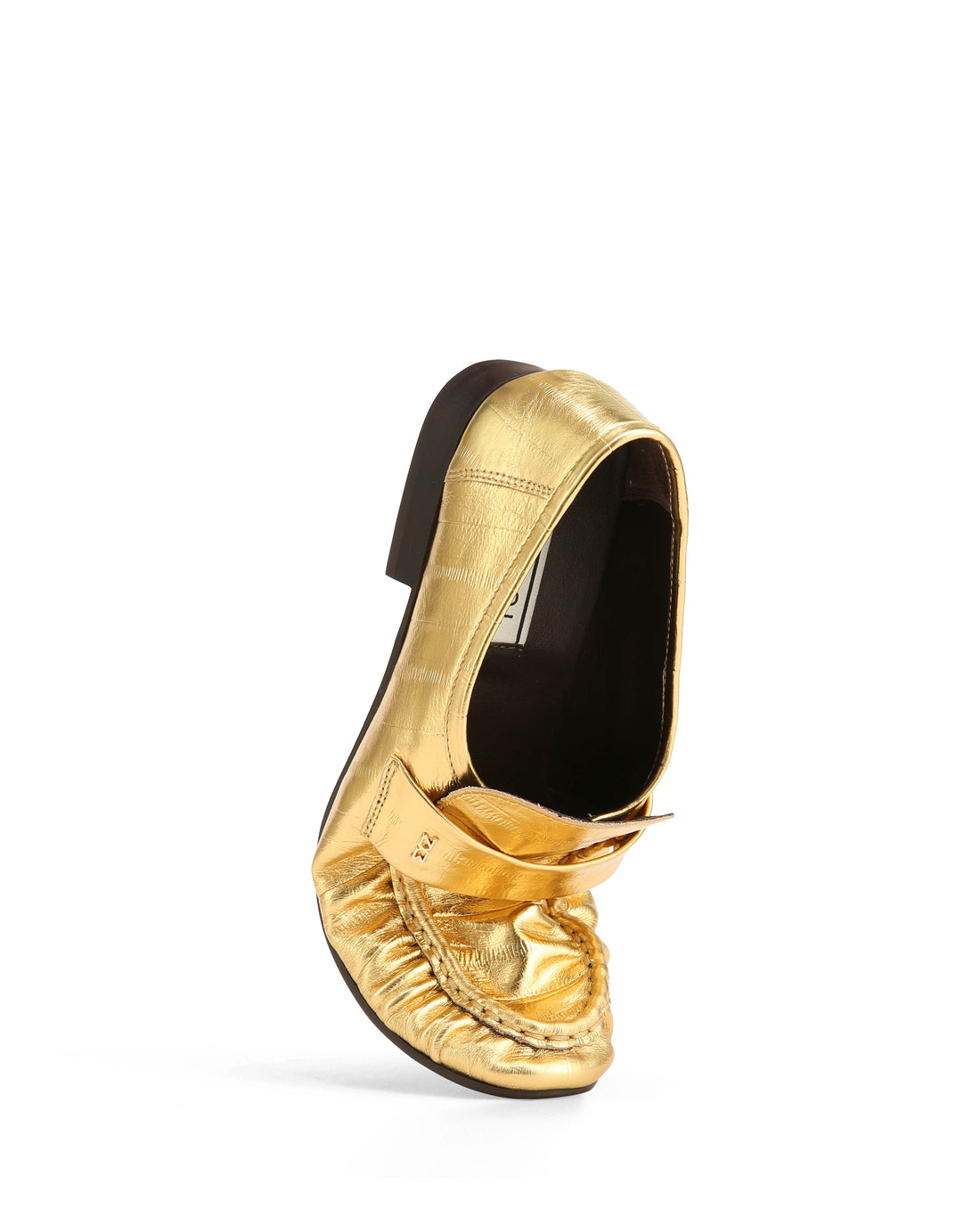 Swifty Gold Eel